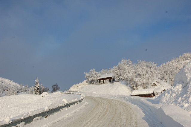 Maria Ostrowska #124161