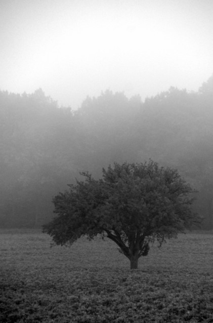 Jarek Jarecki #300038