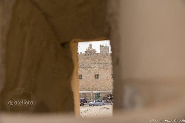 J.Pawel Pelech #300719