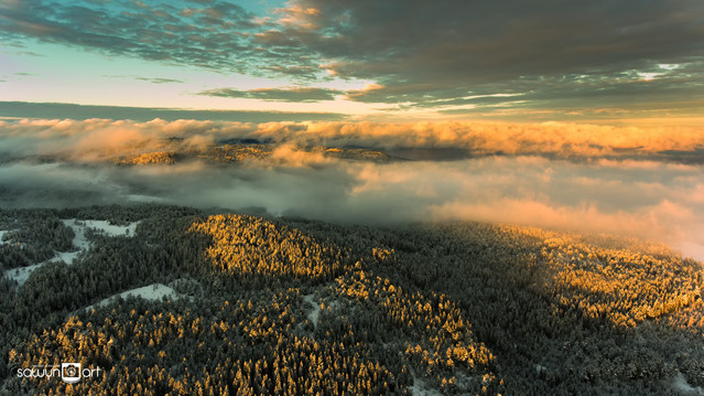 Tomasz Sławinski #300953