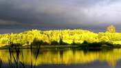 Krystian Pl 