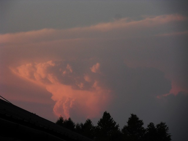 Marta Papuga SAMSUNG DIGITAL CAMERA