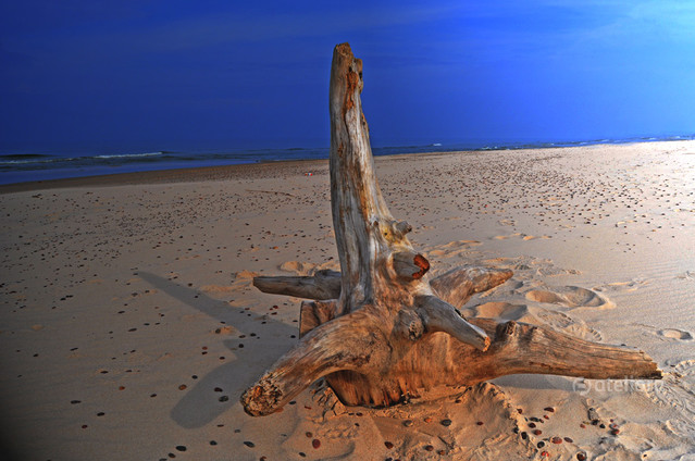 Słowiński Park Narodowy Zbigniew Kapusta #236093