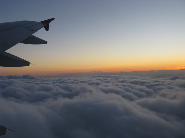 Robert Witek #166066