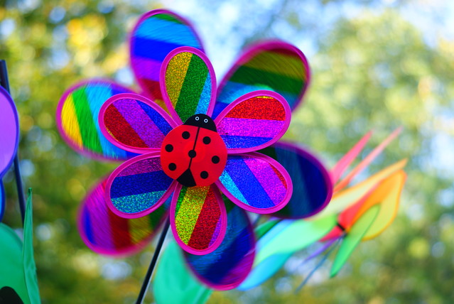 SONY DSC Misiekmaestro #173649