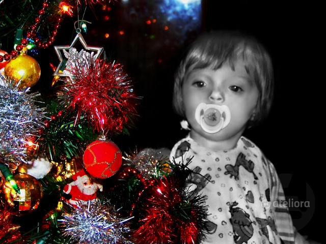 Gwiadkowa Paninka Piotr Borzucki #187560