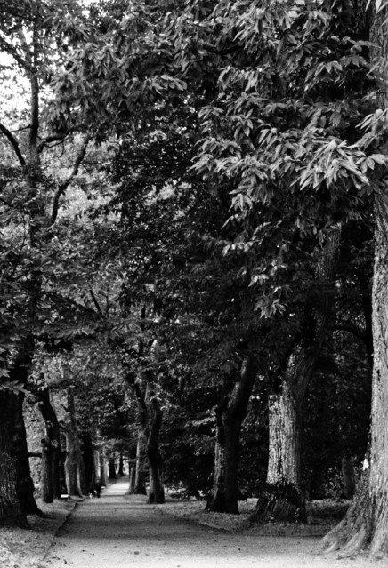 Jarek Jarecki #299241