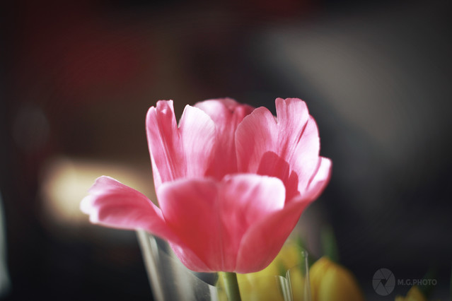 michal grabarczyk #303816