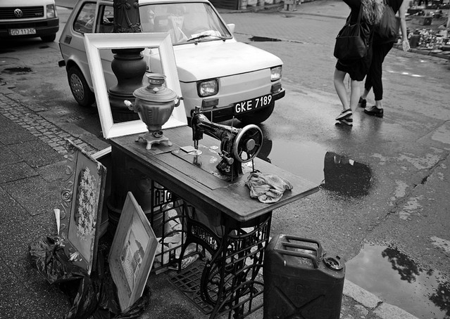 Stare i młode pawelpch #309448