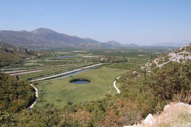 Katarzyna Stankiewicz #166589