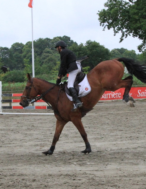 LE Jean #251085