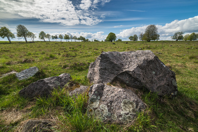 Suwalszczyzna K.Mierzejewski #324889