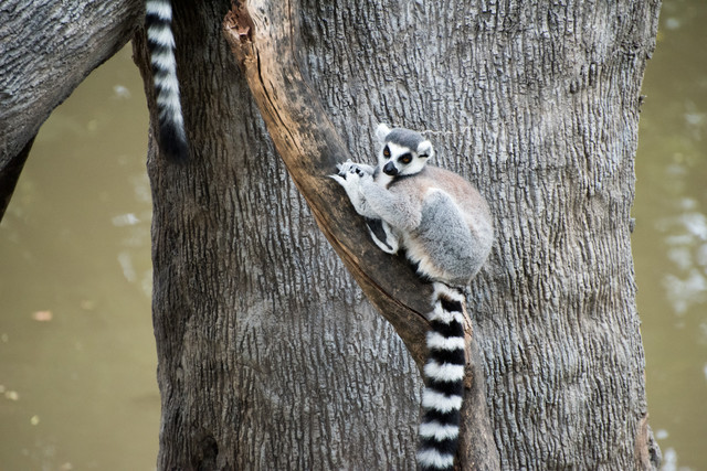 Jacek Pióro #319209