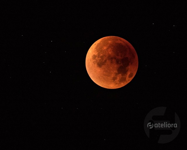 Agnieszka Ilska #281419