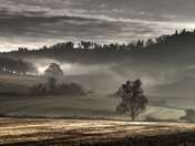 Talambur OLYMPUS DIGITAL CAMERA