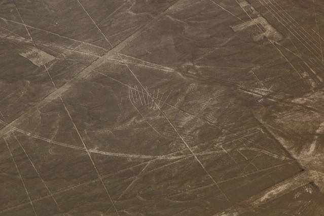 Geoglify Nazca. Kondor. Nazca. Peru. Piotr Schmidt #103274