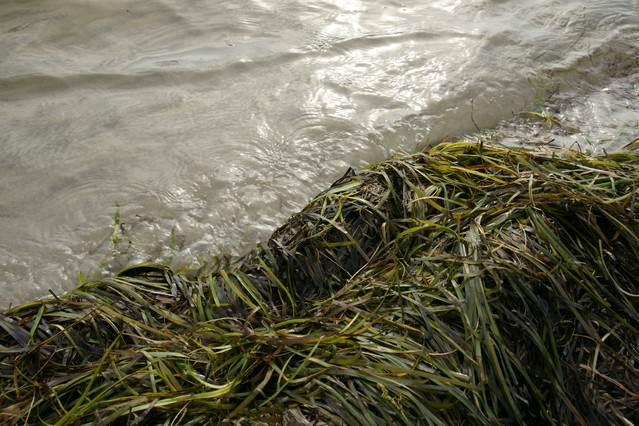 SONY DSC Marzena Bigaj #178730