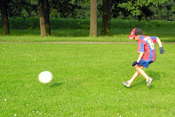 Picasa 