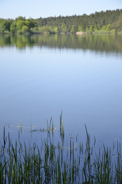 KasiaKoziorowska #328335