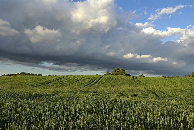 MariuszFotografia #316355