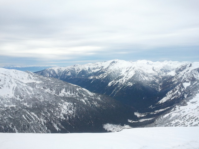 SAMSUNG Robert Wierzbicki #111587