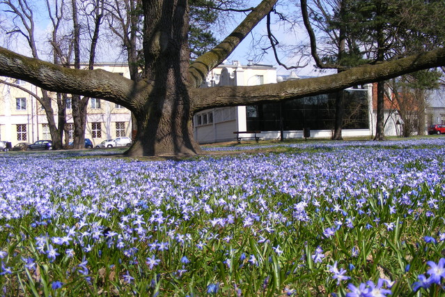 5kwietnia park Klepacza Łódz Edmund Wronka #156278