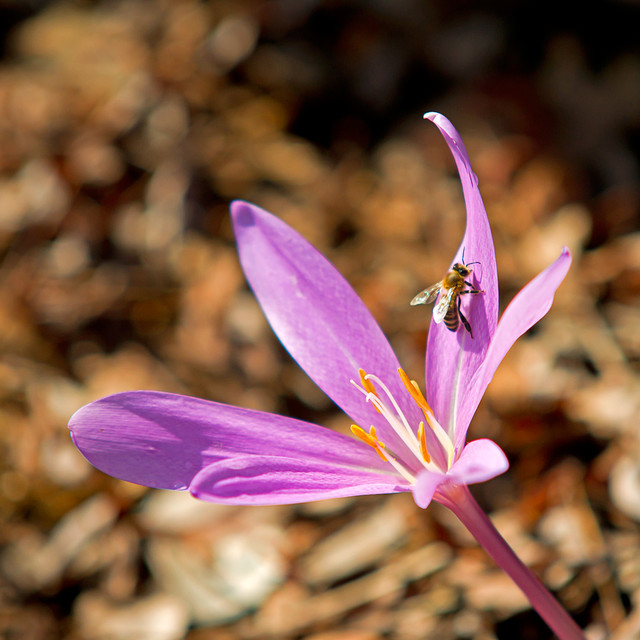 SONY DSC SONY DSC Tomasz Naglik #169125