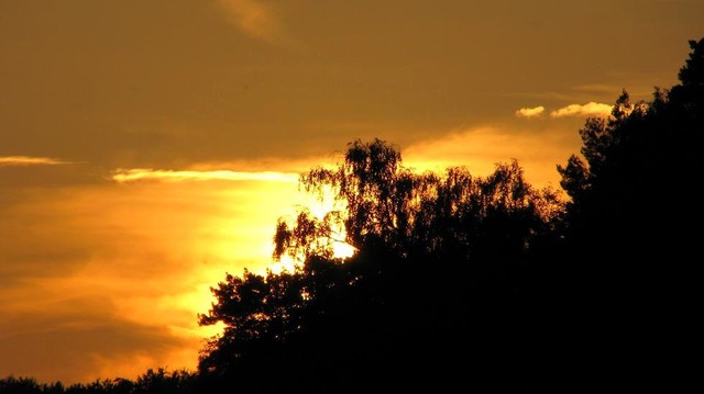 G:PowerShot S5 IS JPEG #204376