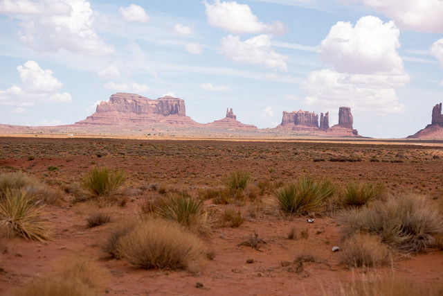 Jacek Pióro #319160