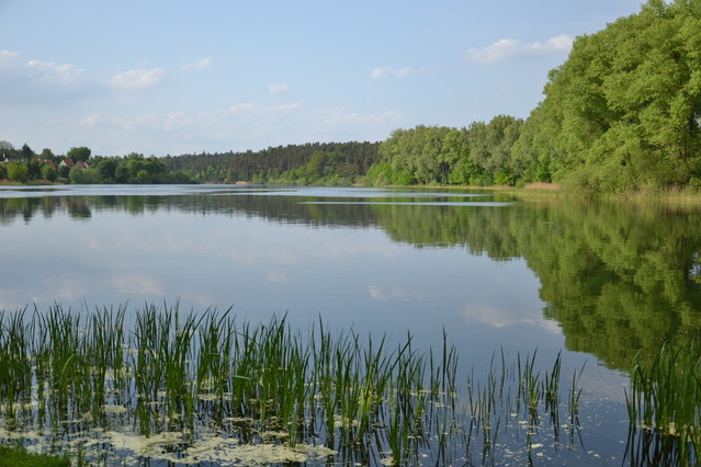 KasiaKoziorowska #328332