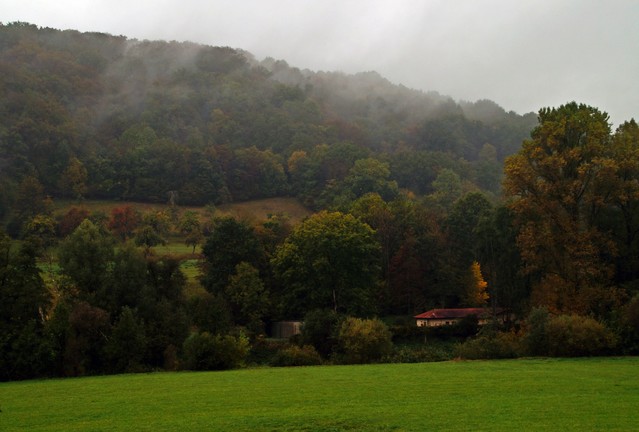 Jarek Jarecki #300039