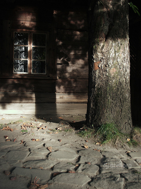 Barbara Prasnowska #296120