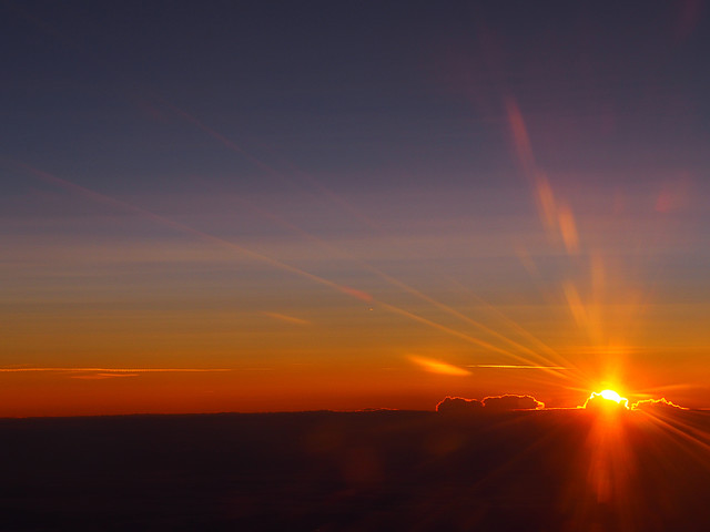OLYMPUS DIGITAL CAMERA OLYMPUS DIGITAL CAMERA kasiadzie #310044