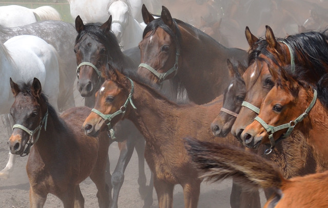 ArturBilinski #211195