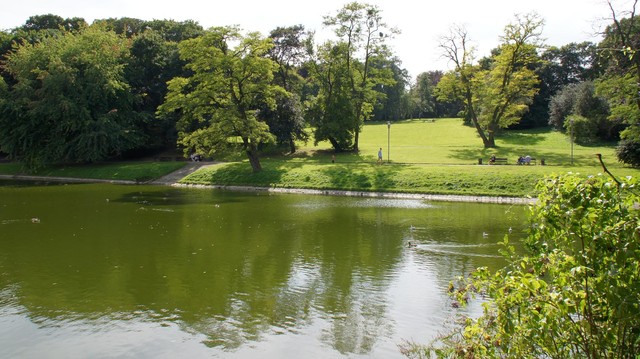 SONY DSC beta2 #166374