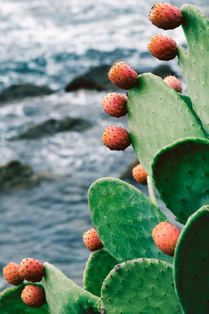 Radoslaw Kwast #299144