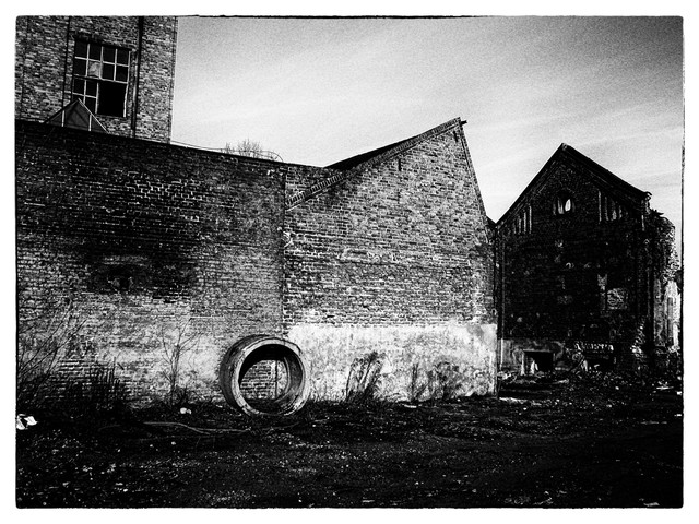 Piotr A. B. OLYMPUS DIGITAL CAMERA