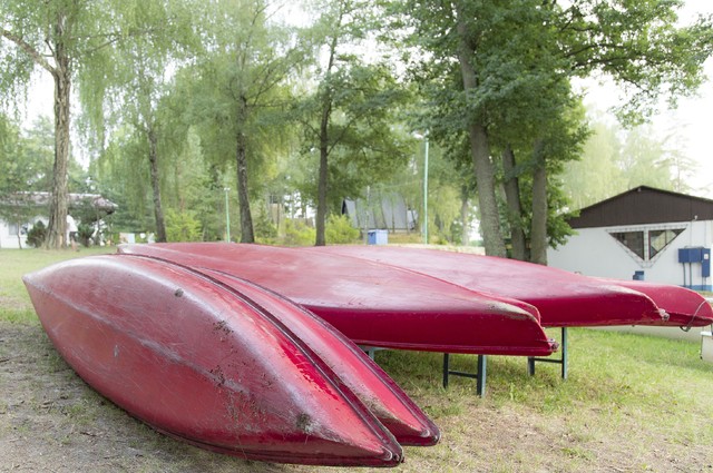 Krzysztof Bartkowski #254232