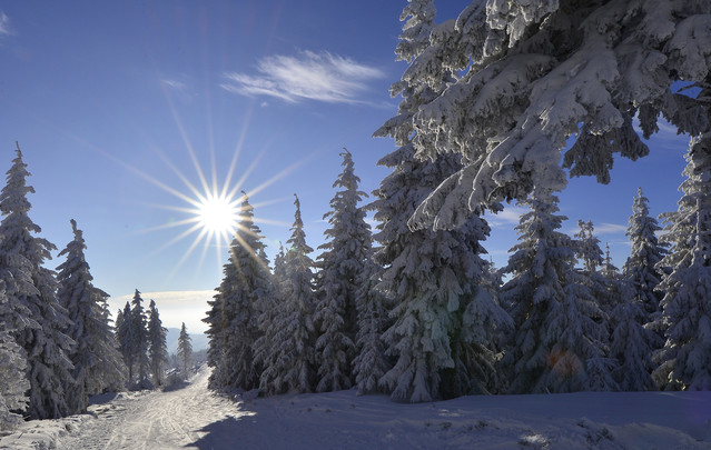 Dariusz WojtaIa* #314378