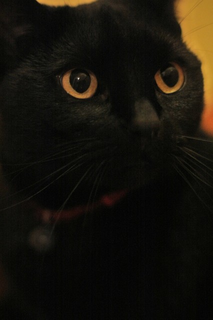 Kasia Lachowicz #140402