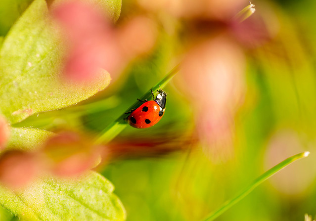 Krzysztof Dymkowski #268495