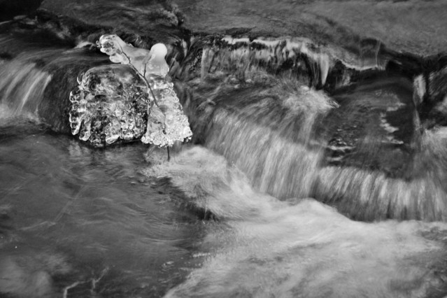 Sławomir Bogacz #267845