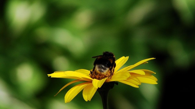 Mirosław Wysocki #295497