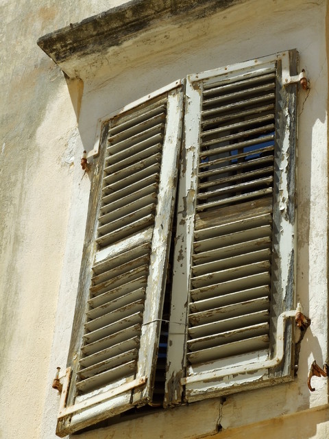 Katarzyna Wasińska #161885