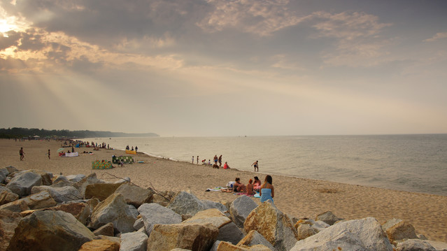 morze Robert Frw #161852