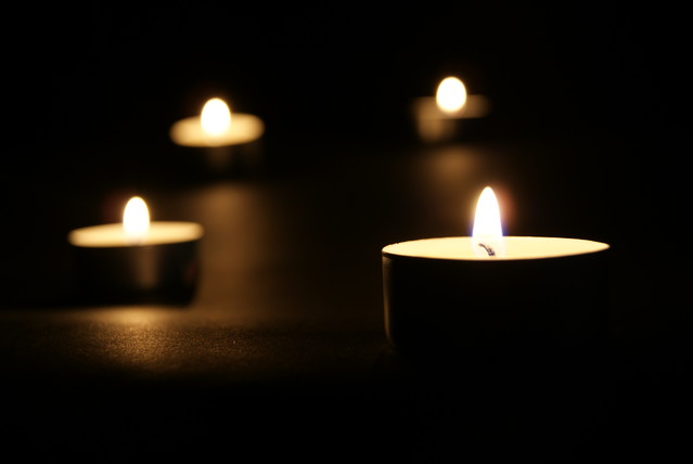 SONY DSC Misiekmaestro #173648