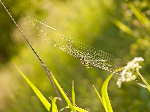 macrofun W hamaku :)