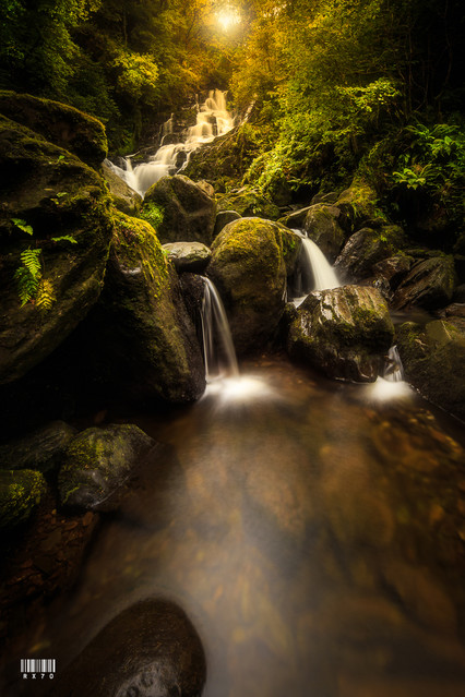 Torc Waterfall Ryszard Lomnicki #333740