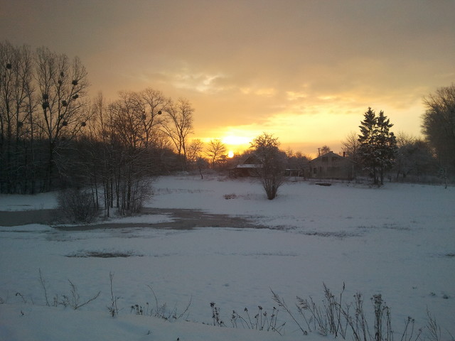 SAMSUNG Iwona Littwin #151997