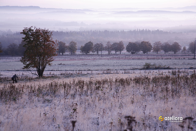 Jesienny Otwarty Plener Fotograficzny IZERY 2011 - organizator